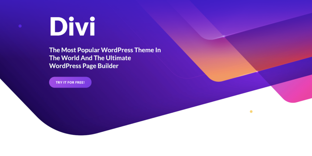 Divi Theme